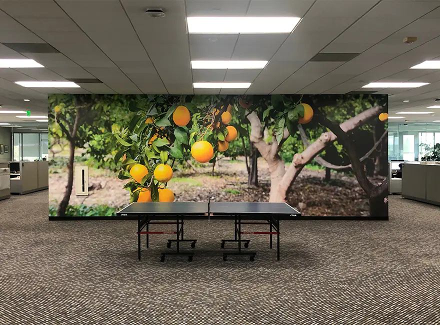 Construction Wall Installation