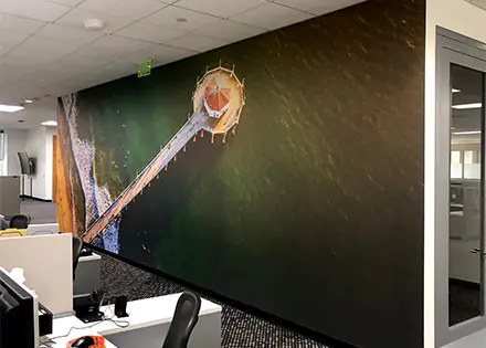 Large Format Wall Graphic