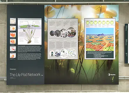 Construction Display Boards