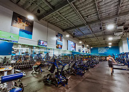 Gym Wall Posters