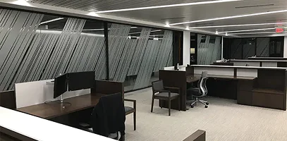 Frosted Vinyl Printing for Offices