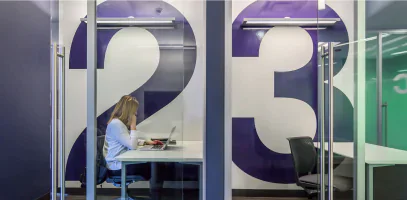 Commercial Silicon Display