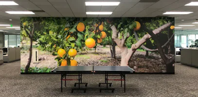 Branded Wall Graphics