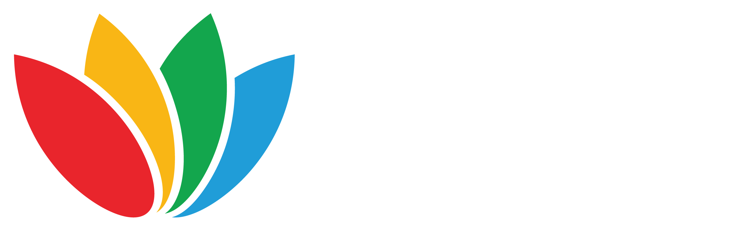 Riot Creative Imaging